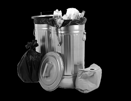 Professional waste removal team in action